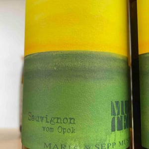 Sauvignon vom Opok - Weingut Muster - maria-sepp-muster