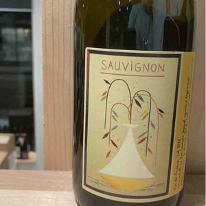 Sauvignon - Jean-Christophe Jezequel - Jean-Christophe Jezequel -2020