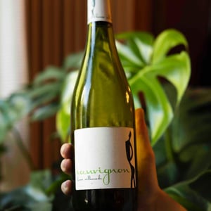 Sauvignon - Hervé Villemade - herve-villemade