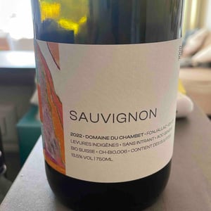 Sauvignon - Domaine du Chambet - anthony-fonjallaz -2022