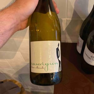 Sauvignon - Hervé Villemade - herve-villemade