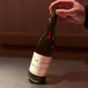 SAUVIGNON - Sam Vinciullo - sam-vinciullo -2021