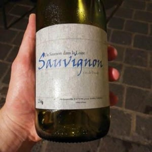 Sauvignon - Un Saumon Dans la Loire - Marie Thibault & Frantz Saumon 