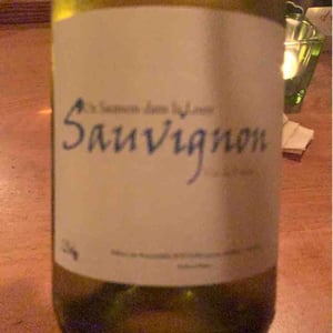 Un Saumon Dans la Loire - Marie Thibault & Frantz Saumon - Sauvignon