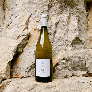 Sauvignon - VDF - Vini Viti Vinci - nicolas-vauthier-kikro