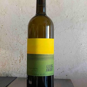 Sauvignon vom Opok - Weingut Muster - maria-sepp-muster