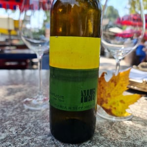 Sauvignon vom Opok - Weingut Muster - maria-sepp-muster