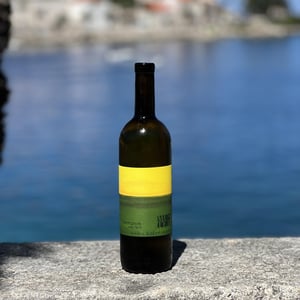 Sauvignon vom Opok - Weingut Muster - maria-sepp-muster
