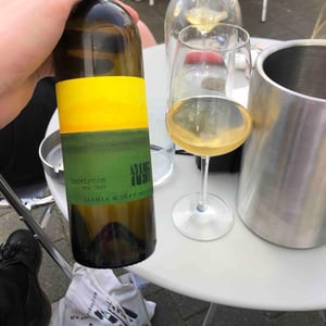Weingut Muster - Maria & Sepp Muster - Sauvignon vom Opok