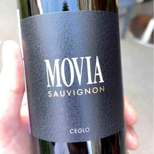 Sauvignon - Movia - Aleš Kristančič 