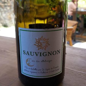Sauvignon - Les Vignes de Paradis - dominique-lucas -2020