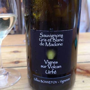 Sauvignons Gris et Blancs de Madone - Vins de la Madone - Gilles Bonnefoy 