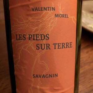 Les Pieds Sur Terre - Valentin Morel - Savagnin