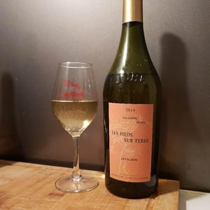 Savagnin - Les Pieds Sur Terre - Valentin Morel 