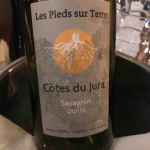 Savagnin - Les Pieds Sur Terre - Valentin Morel 