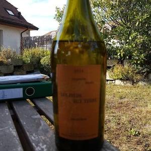 Savagnin - Les Pieds Sur Terre - Valentin Morel 