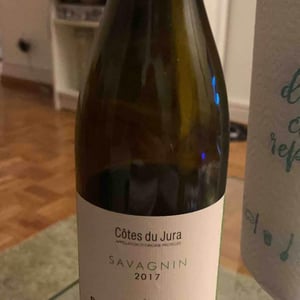 Savagnin - Domaine des Bodines - Emilie & Alexis Porteret 