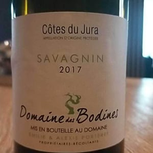 Savagnin - Domaine des Bodines - emilie-alexis-porteret