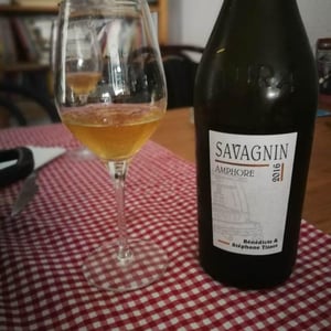 Savagnin Amphore - Domaine André & Mireille Tissot - Bénédicte & Stéphane Tissot 