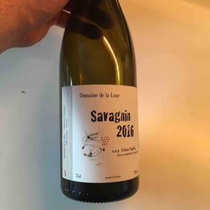 Savagnin - Domaine de la Loue - catherine-hannoun