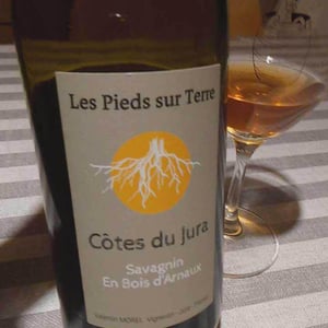Les Pieds Sur Terre - Valentin Morel - Savagnin En Bois d’Arnaux