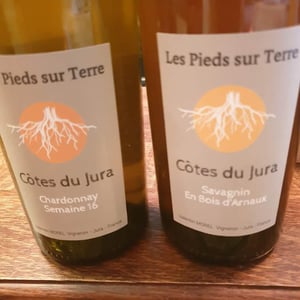 Savagnin En Bois d’Arnaux - Les Pieds Sur Terre - valentin-morel