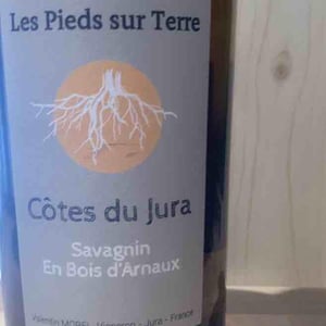 Savagnin En Bois d’Arnaux - Les Pieds Sur Terre - Valentin Morel 