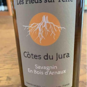 Savagnin En Bois d’Arnaux - Les Pieds Sur Terre - valentin-morel