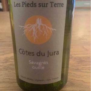 Savagnin En Bois d’Arnaux - Les Pieds Sur Terre - valentin-morel