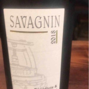 Savagnin - Domaine André & Mireille Tissot - benedicte-stephane-tissot