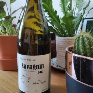 Savagnin - Domaine de la Loue - Catherine Hannoun 