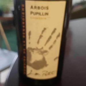 Savagnin - Domaine de la Renardière - Jean-Michel, Laurence et Leo Petit 
