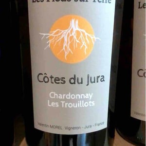 Savagnin Ouillé - Les Pieds Sur Terre - Valentin Morel 