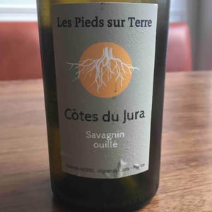 Savagnin Ouillé - Les Pieds Sur Terre - valentin-morel