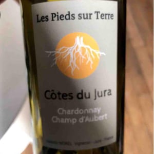 Savagnin Ouillé - Les Pieds Sur Terre - valentin-morel