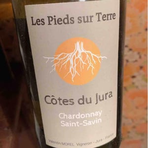 Savagnin Ouillé - Les Pieds Sur Terre - Valentin Morel 
