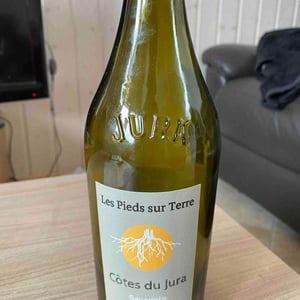 Savagnin Ouillé - Les Pieds Sur Terre - Valentin Morel 