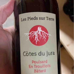 Savagnin Ouillé - Les Pieds Sur Terre - valentin-morel