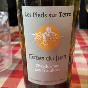 Savagnin Ouillé - Les Pieds Sur Terre - valentin-morel