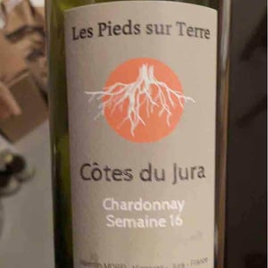 Les Pieds Sur Terre - Valentin Morel - Savagnin Ouillé