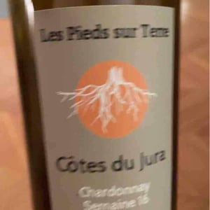 Les Pieds Sur Terre - Valentin Morel - Savagnin Ouillé