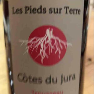 Les Pieds Sur Terre - Valentin Morel - Savagnin Ouillé