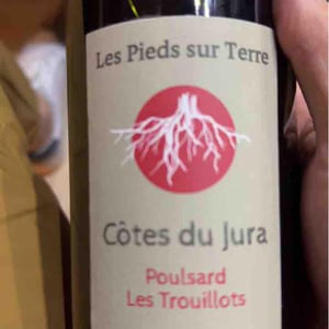 Savagnin Ouillé - Les Pieds Sur Terre - valentin-morel