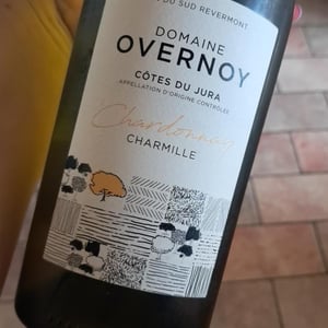 Savagnin Ouillé - Domaine Overnoy - guillaume-overnoy