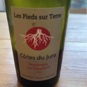 Savagnin Ouillé - Les Pieds Sur Terre - Valentin Morel 