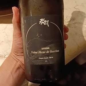 Savagnin - "Veine Bleue de Bacchus" - FRM - François Rousset-Martin 