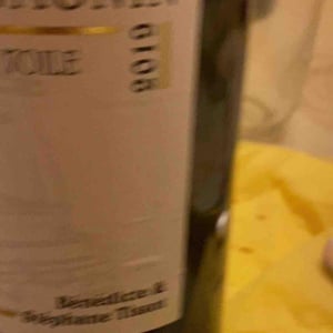 Savagnin - Domaine André & Mireille Tissot - Bénédicte & Stéphane Tissot 