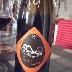 Savate Sauvage - Clos Massotte - Pierre Nicolas Massotte 