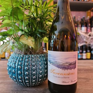 Savennières Clos de la Hutte - Thibaud Boudignon - thibaud-boudignon -2019