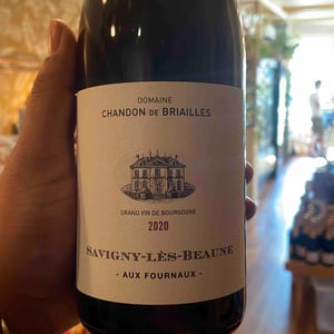 Savigny-les-Beaune 1er Cru "Aux Fournaux" - Domaine Chandon de Briailles - Claude & François de Nicolay 
